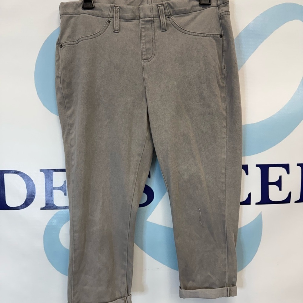 Terra Sky Girls Jeggings size OX 14W